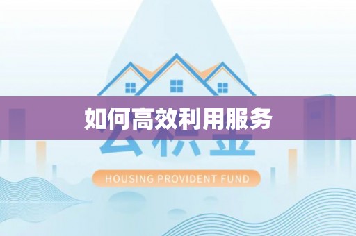 长清如何高效利用服务