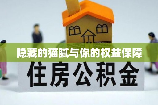 长清隐藏的猫腻与你的权益保障